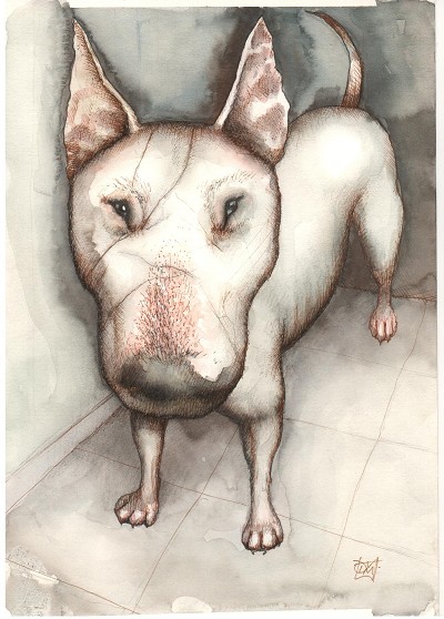 A subdued and slightly unnerving watchfulness.