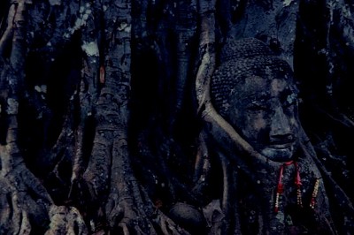 Enigmatic and timeless stillness, touched by decay and nature's embrace.