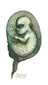 Unsettling transformation and primordial unease