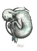 A fragile, alien being curled in anxious anticipation.