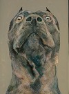 An unsettling, watchful gaze from an ambiguous form.