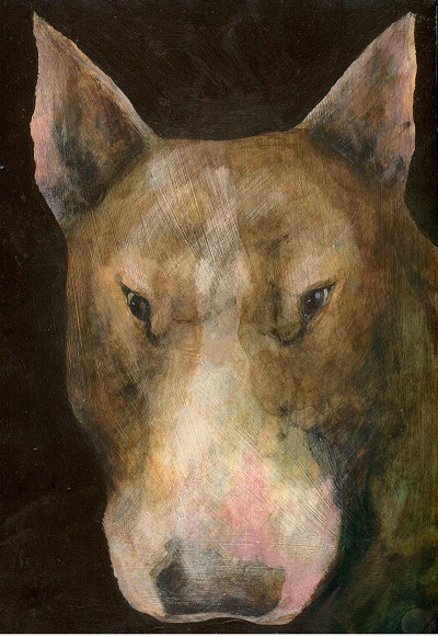 Intense and unsettling gaze from a dark, unknown presence.