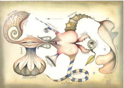 Whimsical curiosity with a tender, unsettling strangeness.