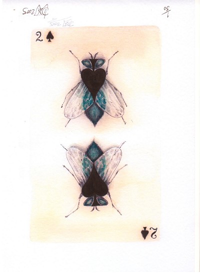 Unsettling symmetry, insectile fascination, a morbid beauty.