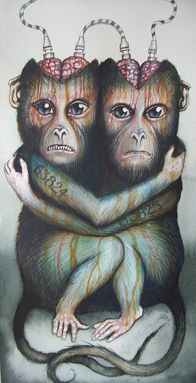 Disturbing yet oddly compelling portrait of primates
